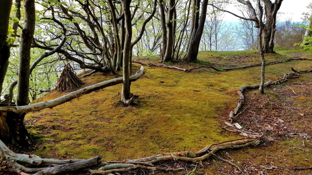 Vila Lesna Ostoja Poddąbie Exteriér fotografie